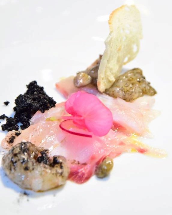 Lanterna carpaccio N