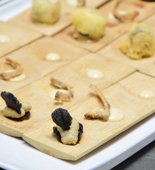 Tris sardela Lanterna